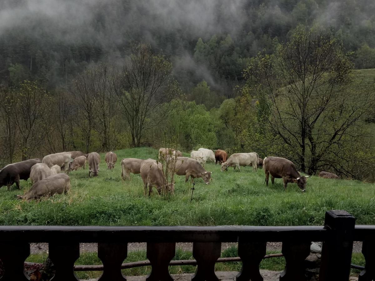 Can Serraima, Casa Rural A Prop De La Cerdanya Neva Eksteriør bilde